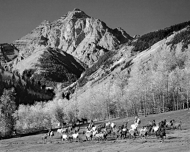 [© Round-up by John Austin Hill is described with Black and White, Black, Gray, White, Mountain, Woods, Horizontal, Fall, Animal, Horse, Horses, Dog, Stock, Pyramid, Pyramid Peak, Rocky Mountain, White River National Forest, Aspen, Colorado, Air, Blue sky, Leaf, Leaves, sky, Trail, Chris Bentley, person, People, Alpine, Mountains, Farms, Farm, Rural, Ranches, Tree, Trees, Cottonwoods, Fine Art hit 25336 rate ]