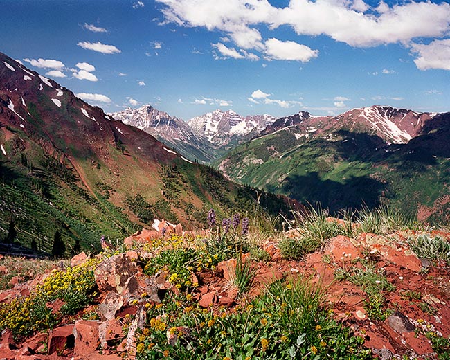 [© Highland Bells by John Austin Hill is described with Color, Warm, Mountain, Horizontal, Summer, Stock, Blue, Green, Neutrals, Peach, Reds, White, Yellows, Maroon Bells, Aspen Highlands, Pyramid, Pyramid Peak, Rocky Mountain, Rockys, White River National Forest, Blue sky, Clouds, Flower, Leaf, Leaves, Lichen, Mt., Alpine, Mountains, Fine Art hit 19191 rate ]
