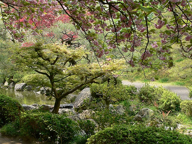 [© Rites of spring by Amory B. Lovins is described with Fine Art, Stock, International, Horizontal, Shrine, Brown, Cold, Green, Reds, Warm, White, Pink, Bush, Foliage, Lake, Leaf, Leaves, Pond, Rivers, Water, Cherry, Cherry Blossoms, Flowers, Rhododendron, Japan, Kyoto, Tree, Trees, Spring, Summer, 2005, City, Color hit 32563 rate ]