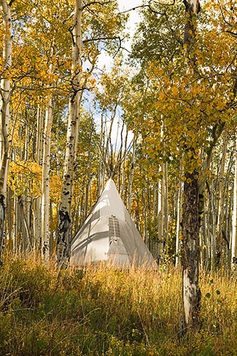 [© Rose Teepee by Judy Hill is described with Capitol Peak, Colorado, Daly, Elk Range, Mt. Daly, Rockys, White River National Forest, Mountain, Mountains, 2005, Autumn, Fall, Rocky Mountains, Green, golden, Beige, Gray, Neutrals, Warm, Yellows, Rocky, Tree, Trees, Woods, Teepee, Aspens, Leaf, Leaves, things, Vertical, Fine Art, Stock, Color hit 18250 rate ]