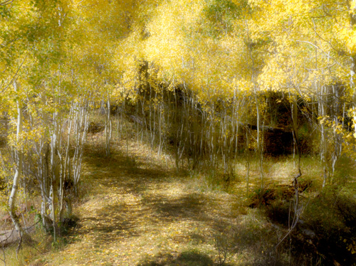 [© Painterly Fall by Amory B. Lovins is described with Color, Fine Art, Fall, Trees, Horizontal, Warm, Mountains, Path, Watercolor, Soft, Yellow, Brown, Leaves, Rocky Mountains hit 19208 rate ]
