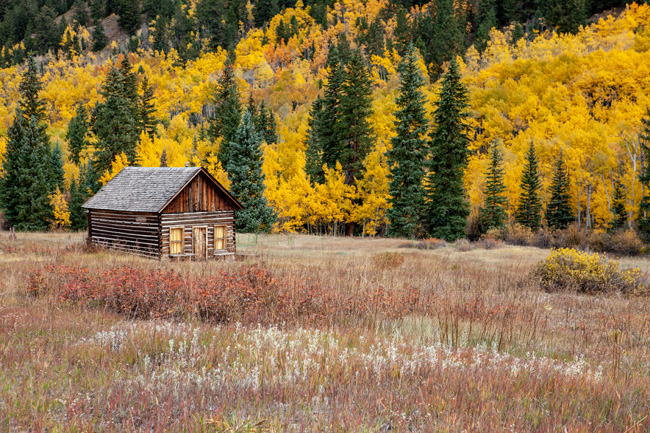 [© Ashcroft Cabin in Fall by Judy Hill Lovins is described with Color, Fine Art, 5/19 for web, gold, green, beige, brown, cabin, fall, Colorado, Ashcroft, Horizontal, retro hit 11514 rate ]