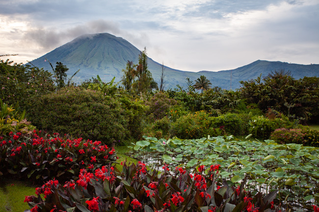 [© Sulawesi Volcano by Judy Hill Lovins is described with Fine Art, Sulawesi, Volcano, Mountain, Flowers, Cool, Red, Warm, Green, Gray, Color, Horizontal, International, remix, Horizontal hit 11534 rate ]
