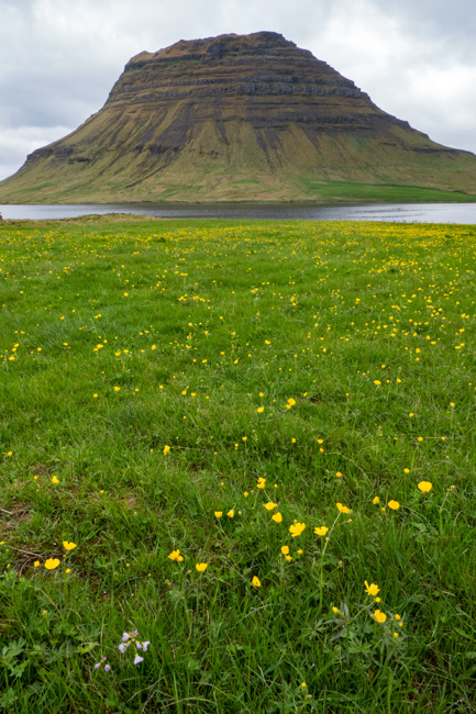 [© Kirkjufell by Amory B. Lovins is described with Iceland, Fine Art, Mt. Kirkjufell, Color, Cool, Spring, Summer, Mountain, Green, Brown, Yellow, Slideshow, Snæfellsnes Peninsula, Water, Vertical hit 18569 rate ]
