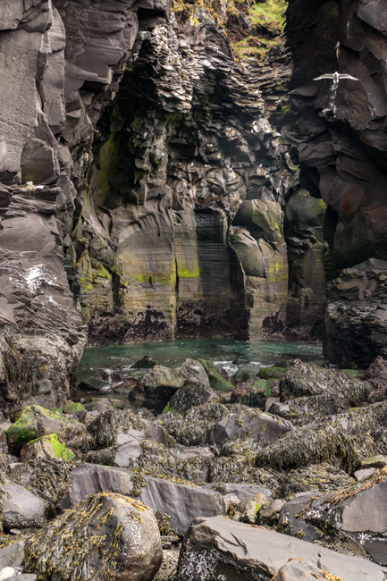 [© Hellnar Arches by Amory B. Lovins is described with Iceland, Color, Spring, Slideshow, Hellnar, Fine Art, Vertical, Rock, Rock face, Brown, Cool, Gray, Green hit 18388 rate ]