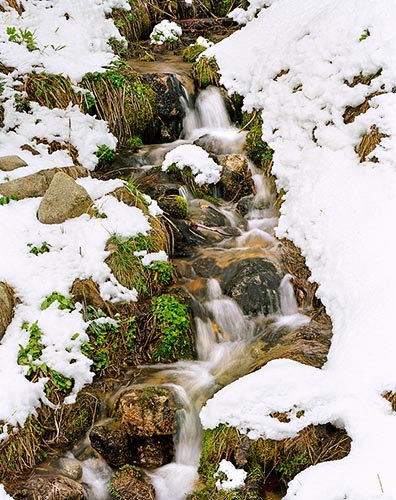 [© Irrepressable Spring by Stuart Huck is described with Water, Vertical, Winter, Spring, Stock, Fine Art, Color, Beige, Brown, Cold, Cool, Green, Neutrals, White, Gray, Gold, Independence Pass, Rocky Mountain, Rocky Mountains, Rockys, White River National Forest, Woods hit 22634 rate ]