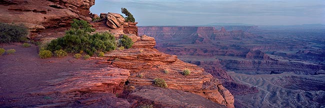 [© Purple Horizons by Judy Hill is described with Fine Art, Color, Cool, Warm, Canyonlands, Desert, Horizontal, Panorama, Spring, Summer, Stock, Blue, Gold, Gray, Green, Magenta, Maroon, Orange, Purple, Cliff, Canyon, Sagebrush, Stone, Tree, Rock, National Park, Utah, Organ player, retro hit 21581 rate ]