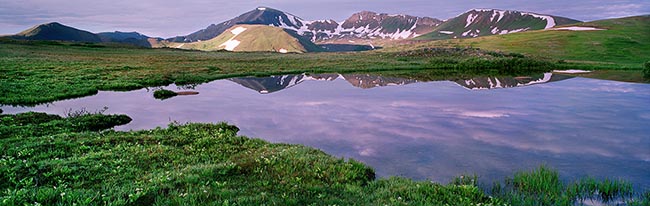 [© Independence Pass Morning by Judy Hill is described with Fine Art, Color, Cool, Mountain, Lake, Water, Horizontal, Panorama, Spring, Summer, Stock, Magenta, Maroon, Green, White, Brown, Purple, Independence Pass, Rocky Mountain, Rockys, White River National Forest, Elk Range, Colorado, Air, Reflections, Flowers, Alpine, Mountains, retro hit 30311 rate ]