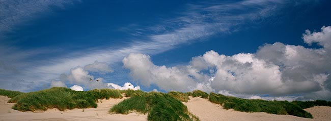 [© Oregon Coast Dunes and Clouds by Judy Hill is described with Fine Art, Color, Cool, Warm, Beach, Horizontal, Panorama, Spring, Summer, Stock, Beige, Blue, Brown, Gray, Neutrals, White, Air, Blue sky, Brush, Clouds, Coast, Grass, Sand, Sandy, sky, Bird, Birds, Seagull, Coastline, Oregon hit 21051 rate ]